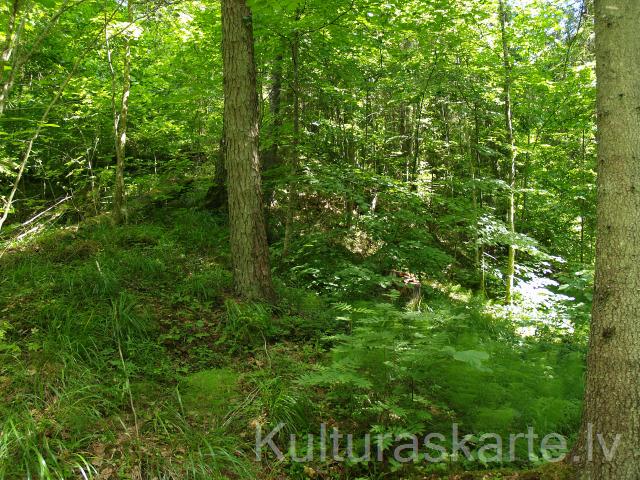 Karogkalniņš